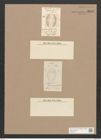 Amphora globosa Schum. (de-Toni-Nr.: Genus 36, Species 1617) Zeichnungen Sammlung Grunow Nr. 3100 (NHMW-BOT-W0370515)